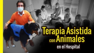 Cómo funcionan las terapias con animales