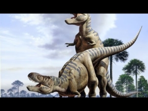 Cómo se determina el sexo de un dinosaurio