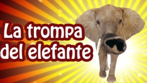 Cuál es el origen de la trompa de los elefantes