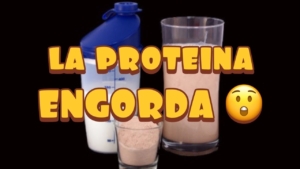 Las proteínas engordan