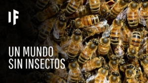 Si desaparecieran las abejas, la vida sería casi imposible